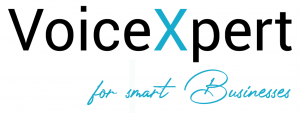 voicexpert_partner_logo_for_smart_business
